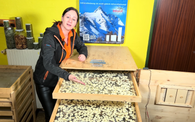 Knoblauch schonend trocknen – mit der KräuterCube
